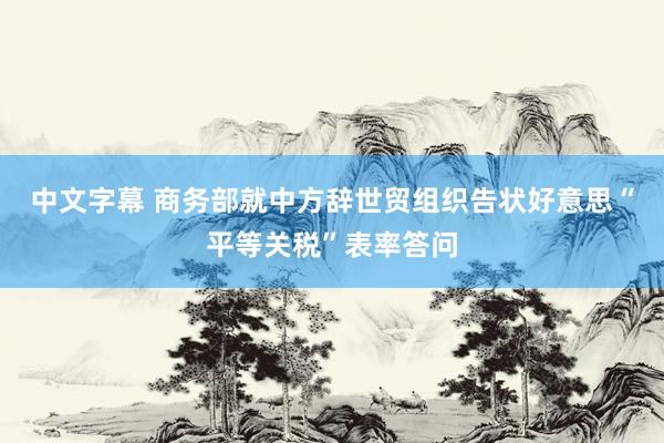 中文字幕 商务部就中方辞世贸组织告状好意思“平等关税”表率答问
