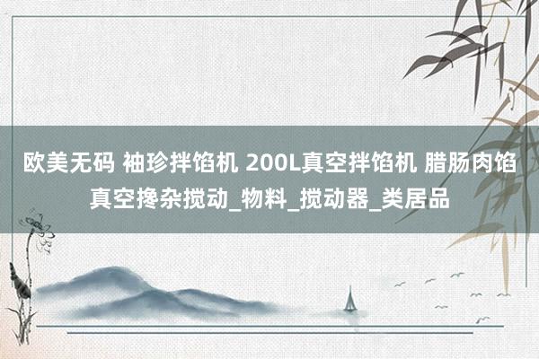 欧美无码 袖珍拌馅机 200L真空拌馅机 腊肠肉馅真空搀杂搅动_物料_搅动器_类居品
