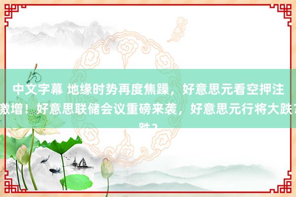 中文字幕 地缘时势再度焦躁，好意思元看空押注激增！好意思联储会议重磅来袭，好意思元行将大跌？