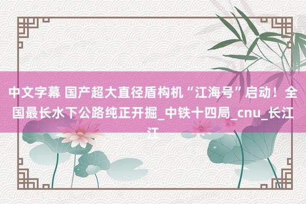 中文字幕 国产超大直径盾构机“江海号”启动！全国最长水下公路纯正开掘_中铁十四局_cnu_长江