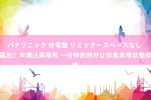 パナソニック 分電盤 リミッタースペースなし 露出・半埋込両用形 一分钟的时分让你意志带状疱疹
