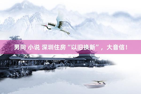 男同 小说 深圳住房“以旧换新”，大音信！