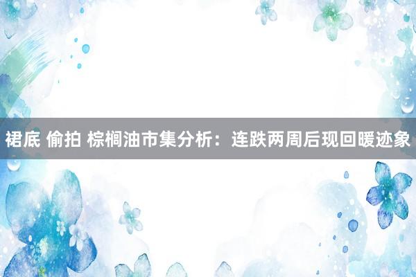 裙底 偷拍 棕榈油市集分析：连跌两周后现回暖迹象