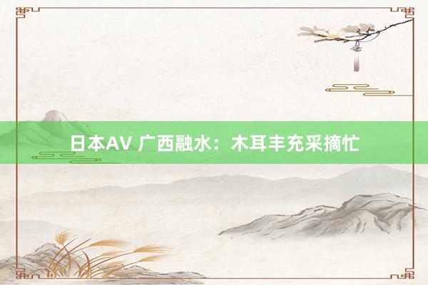 日本AV 广西融水：木耳丰充采摘忙