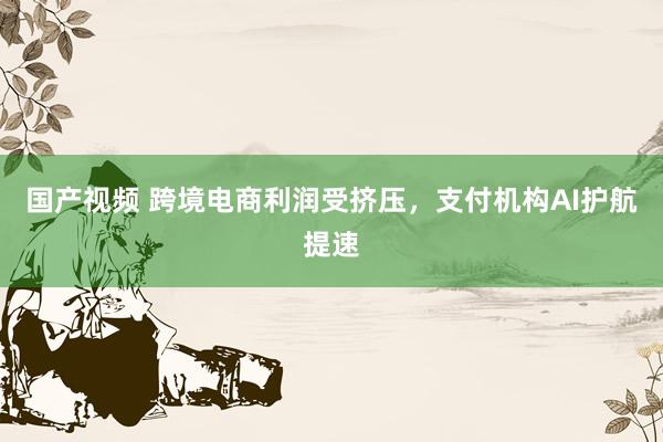 国产视频 跨境电商利润受挤压，支付机构AI护航提速