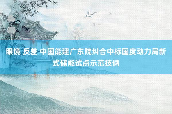 眼镜 反差 中国能建广东院纠合中标国度动力局新式储能试点示范技俩