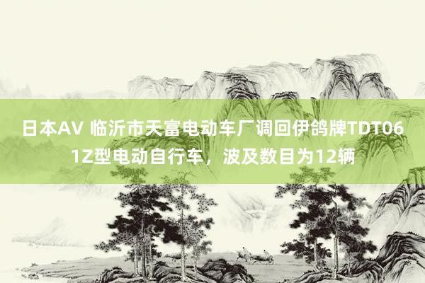 日本AV 临沂市天富电动车厂调回伊鸽牌TDT061Z型电动自行车，波及数目为12辆