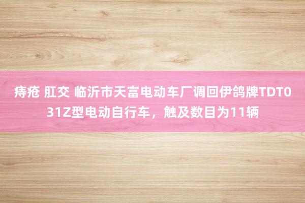 痔疮 肛交 临沂市天富电动车厂调回伊鸽牌TDT031Z型电动自行车，触及数目为11辆