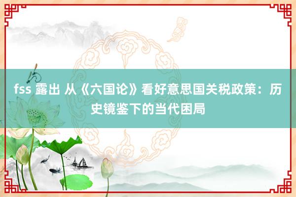 fss 露出 从《六国论》看好意思国关税政策：历史镜鉴下的当代困局