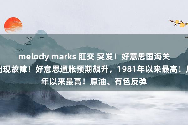 melody marks 肛交 突发！好意思国海关评释关税系统出现故障！好意思通胀预期飙升，1981年以来最高！原油、有色反弹