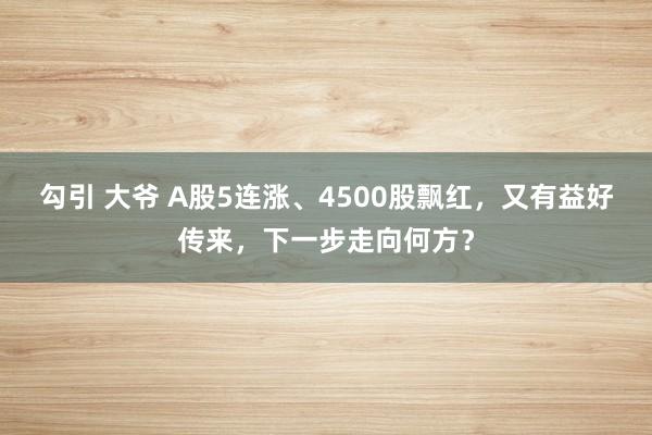勾引 大爷 A股5连涨、4500股飘红，又有益好传来，下一步走向何方？