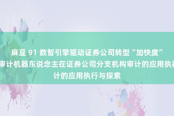 麻豆 91 数智引擎驱动证券公司转型“加快度”——RPA审计机器东说念主在证券公司分支机构审计的应用执行与探索