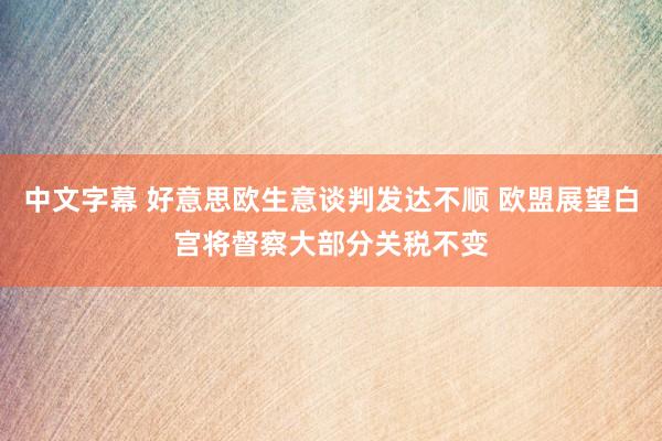 中文字幕 好意思欧生意谈判发达不顺 欧盟展望白宫将督察大部分关税不变