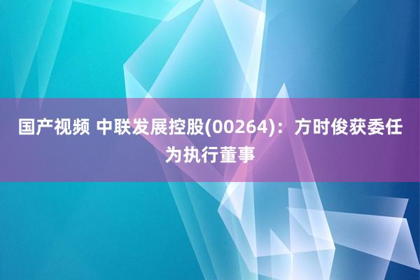 国产视频 中联发展控股(00264)：方时俊获委任为执行董事