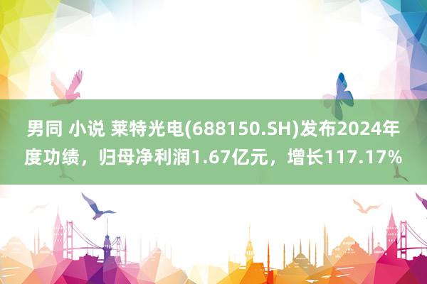 男同 小说 莱特光电(688150.SH)发布2024年度功绩，归母净利润1.67亿元，增长117.17%
