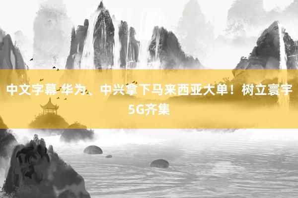 中文字幕 华为、中兴拿下马来西亚大单！树立寰宇5G齐集
