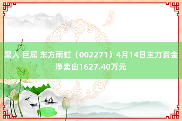 黑人 巨屌 东方雨虹（002271）4月14日主力资金净卖出1627.40万元