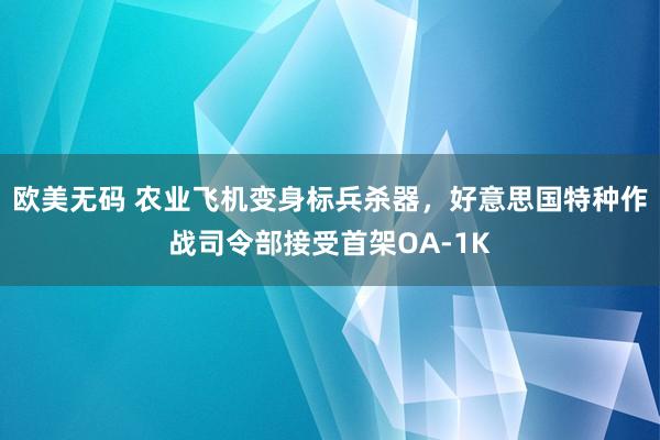 欧美无码 农业飞机变身标兵杀器，好意思国特种作战司令部接受首架OA-1K