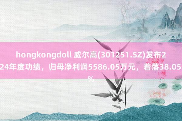 hongkongdoll 威尔高(301251.SZ)发布2024年度功绩，归母净利润5586.05万元，着落38.05%
