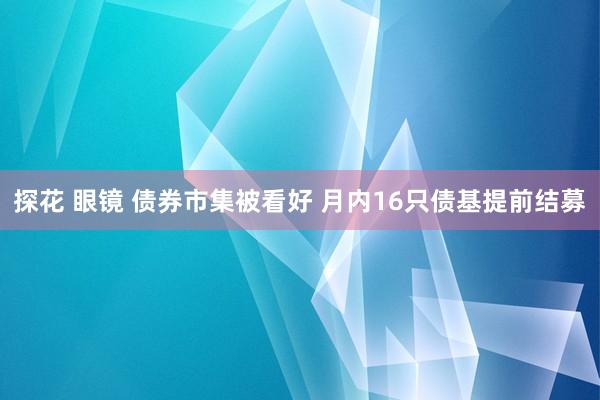 探花 眼镜 债券市集被看好 月内16只债基提前结募