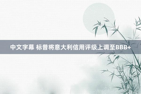 中文字幕 标普将意大利信用评级上调至BBB+