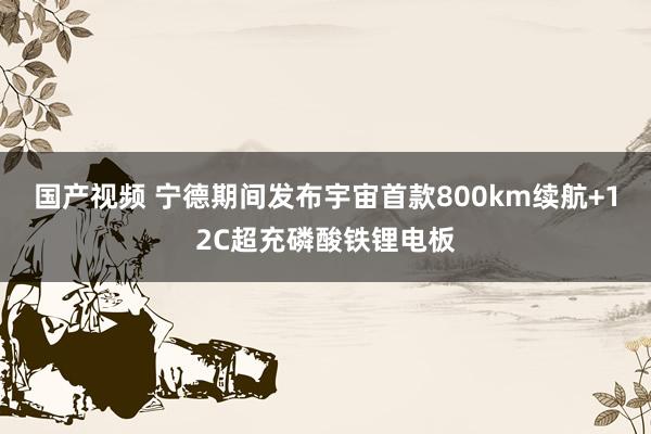 国产视频 宁德期间发布宇宙首款800km续航+12C超充磷酸铁锂电板