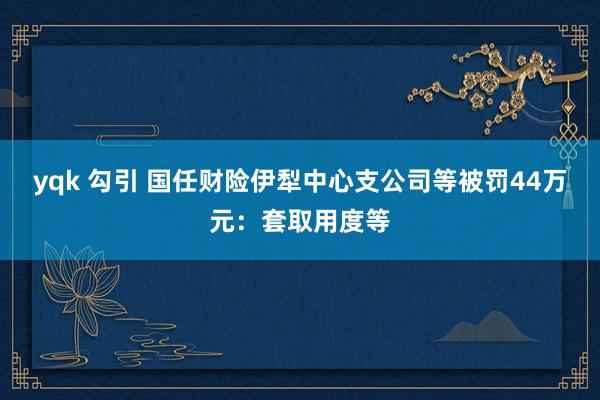 yqk 勾引 国任财险伊犁中心支公司等被罚44万元：套取用度等