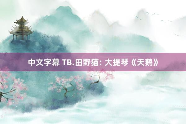 中文字幕 TB.田野猫: 大提琴《天鹅》
