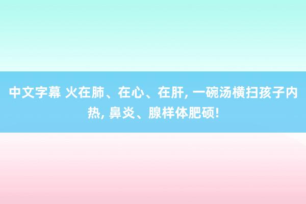 中文字幕 火在肺、在心、在肝， 一碗汤横扫孩子内热， 鼻炎、腺样体肥硕!