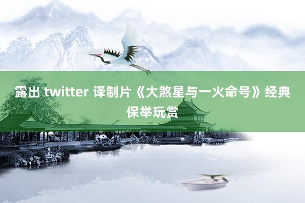 露出 twitter 译制片《大煞星与一火命号》经典保举玩赏
